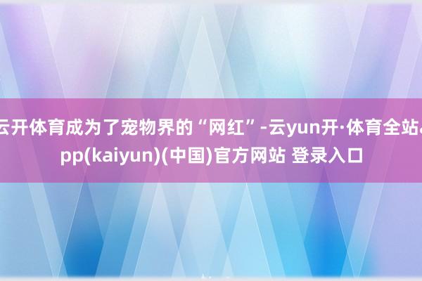 云开体育成为了宠物界的“网红”-云yun开·体育全站app(kaiyun)(中国)官方网站 登录入口